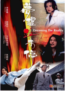 Dreaming the Reality 1991