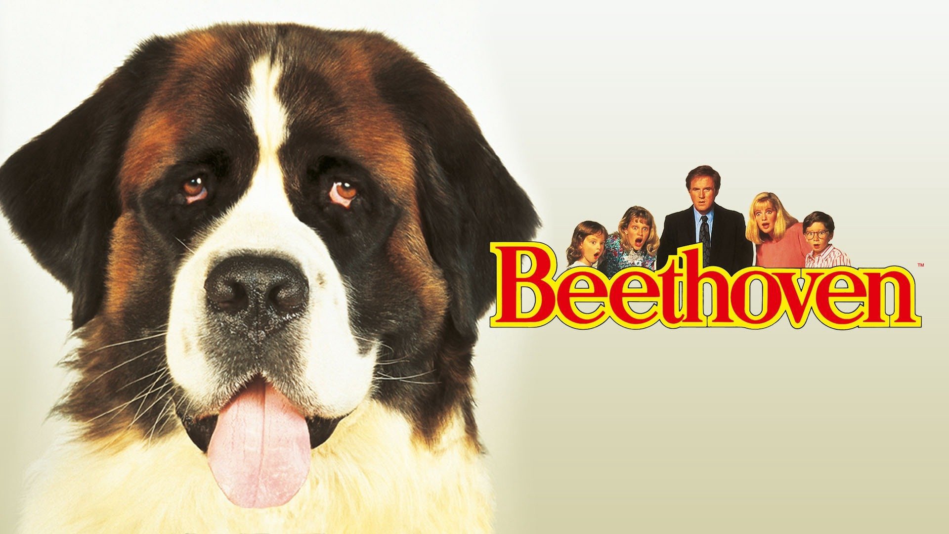 Chú Chó Beethoven Chú Chó Beethoven
