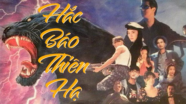Hắc Báo Thiên Hạ Hắc Báo Thiên Hạ