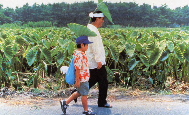 Mùa Hè Của Kikujiro Mùa Hè Của Kikujiro