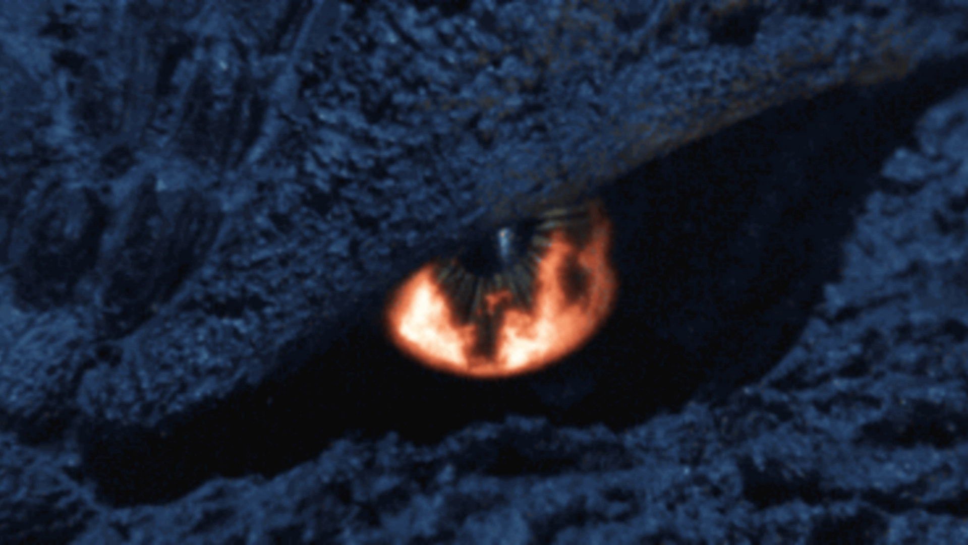 Godzilla: Final Wars Godzilla: Final Wars