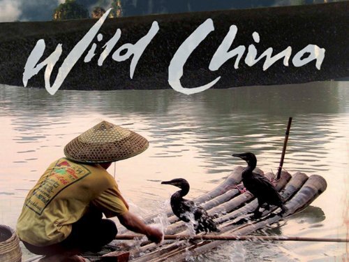 Thiên Nhiên Hoang Dã Trung Quốc Thiên Nhiên Hoang Dã Trung Quốc