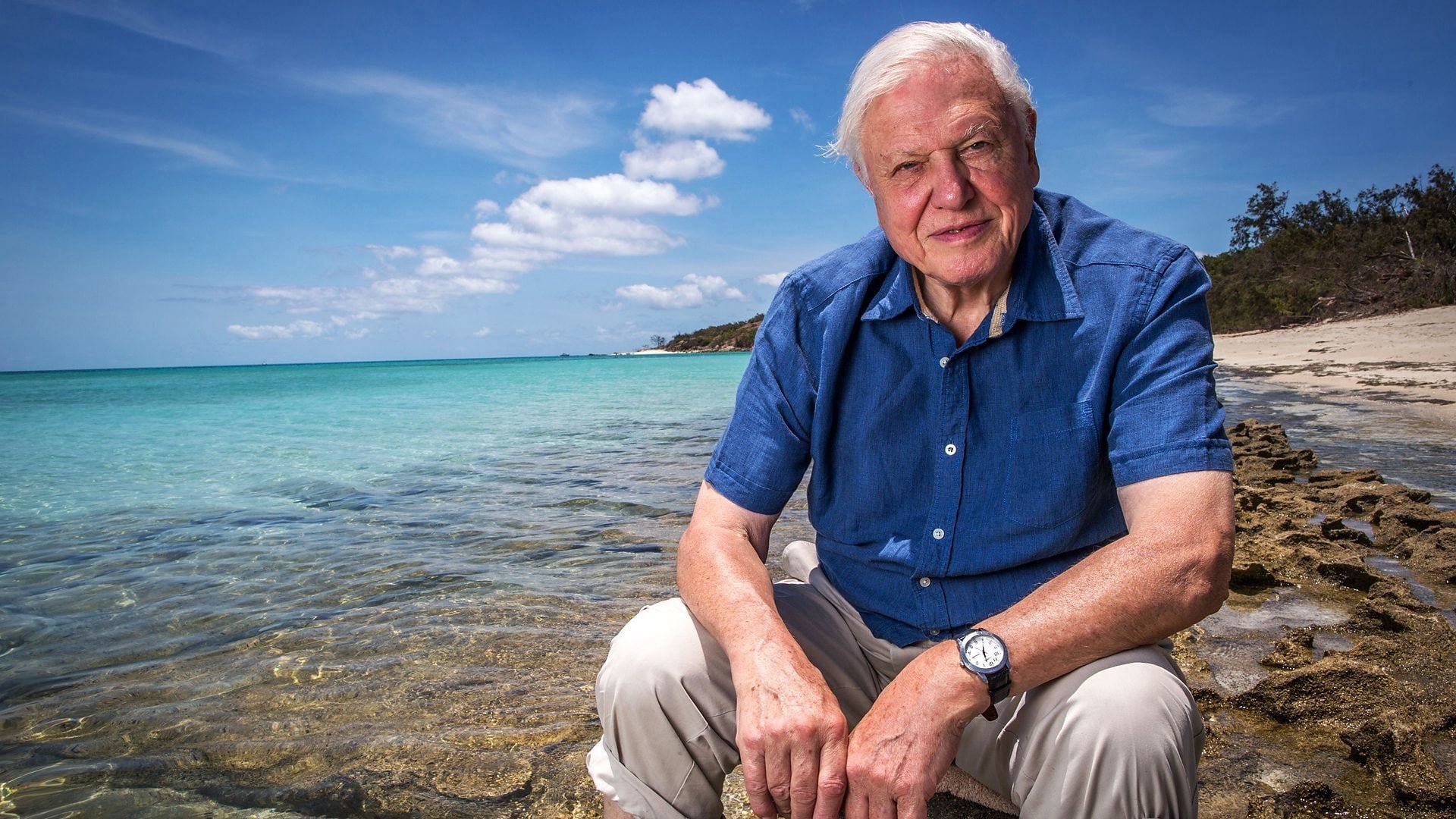 Khám Phá Rạn San Hô Great Barrier Cùng David Attenborough Khám Phá Rạn San Hô Great Barrier Cùng David Attenborough