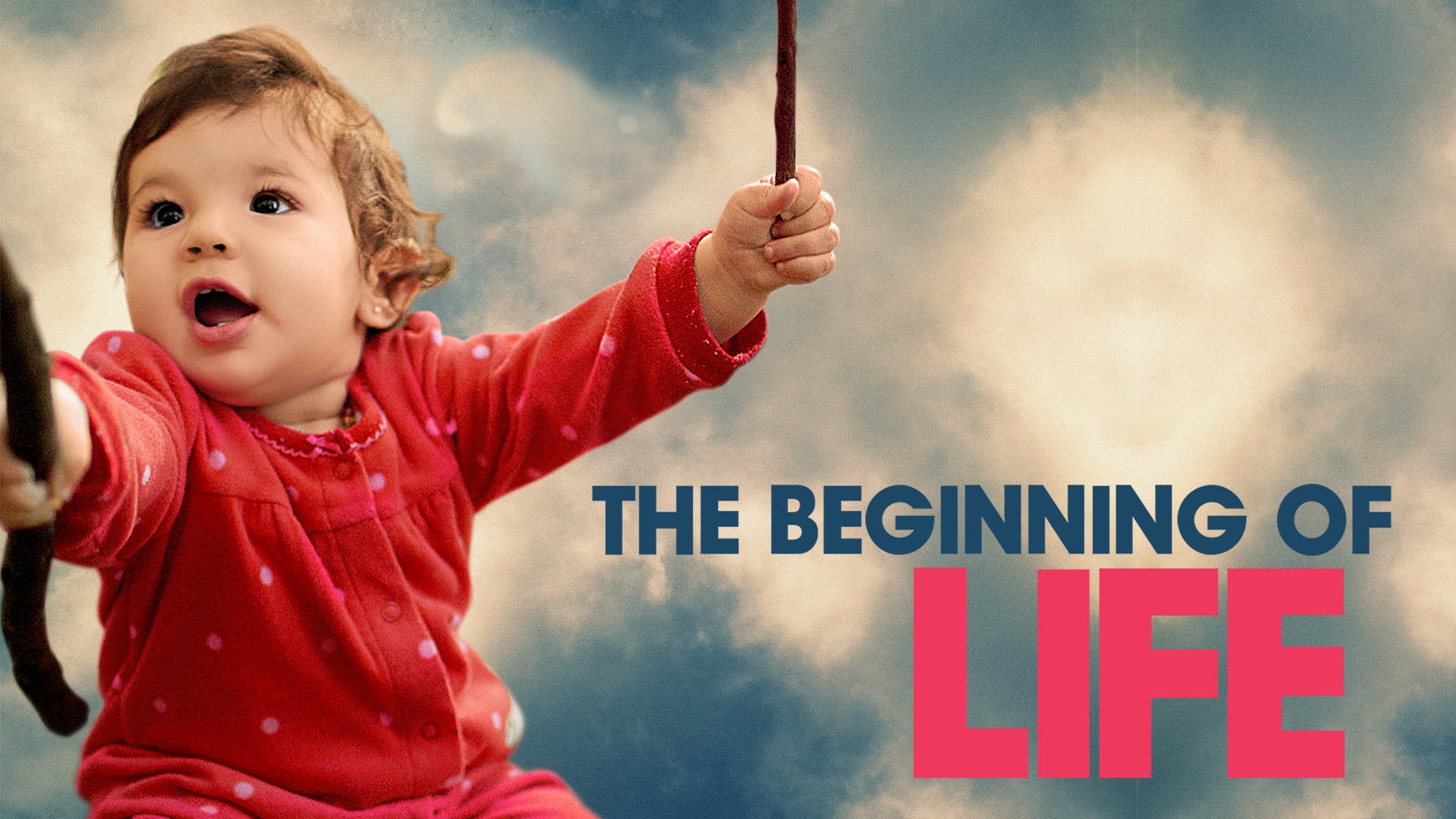 The Beginning Of Life The Beginning Of Life