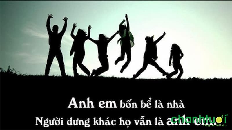 Người Anh Em Xa Lạ Người Anh Em Xa Lạ