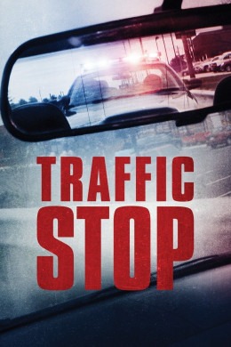 Traffic Stop 2017