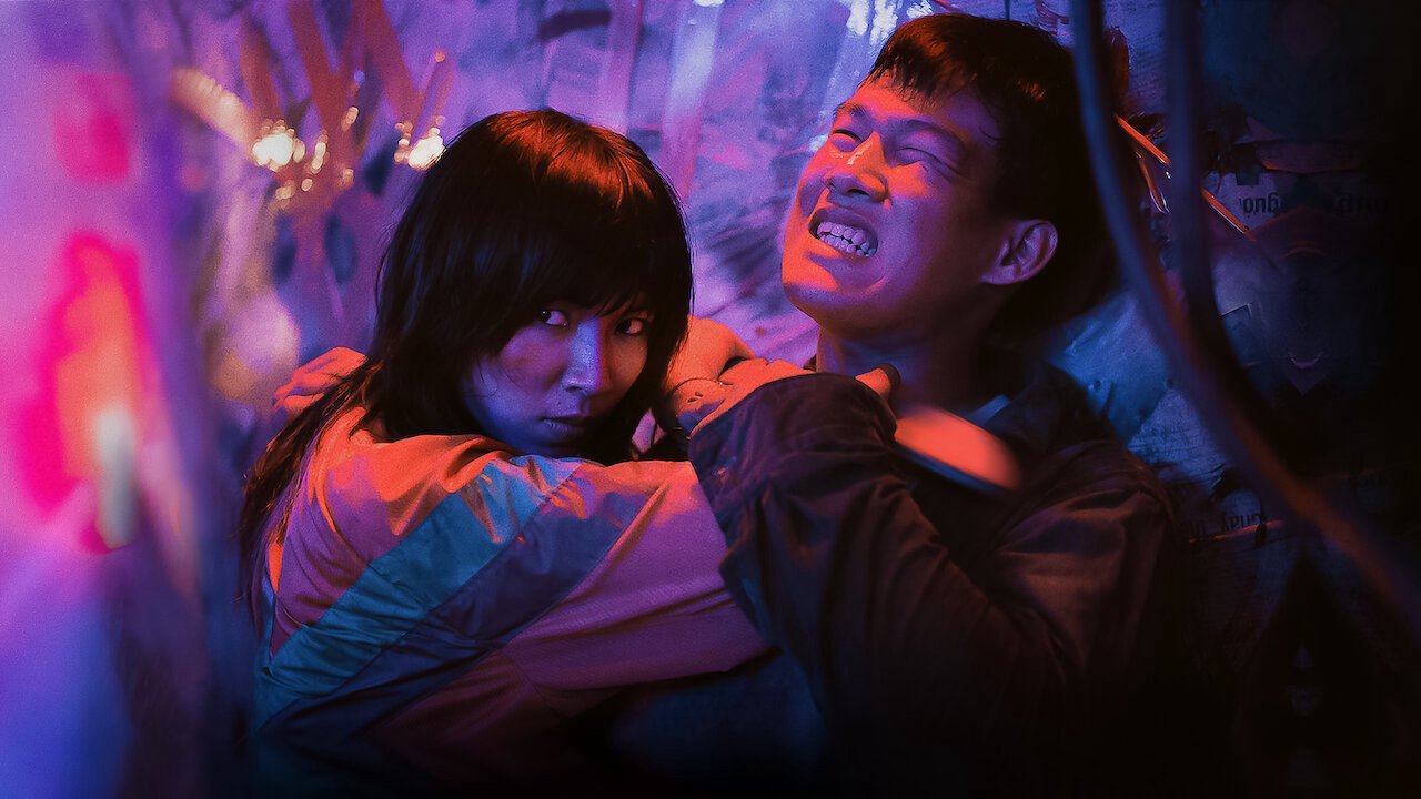 Thanh Sói - Cúc Dại Trong Đêm Thanh Sói - Cúc Dại Trong Đêm