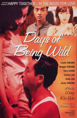Days of Being Wild 1990