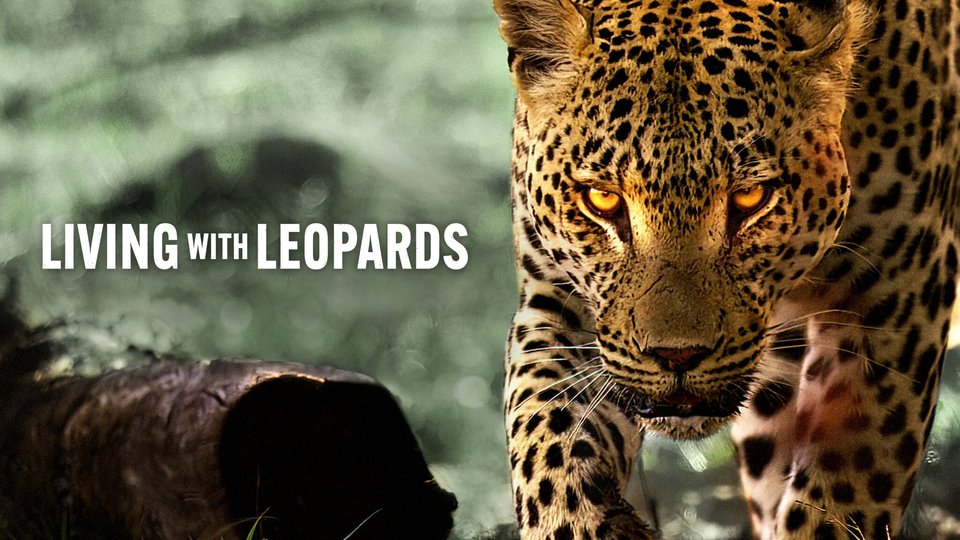 Living With Leopards Living With Leopards
