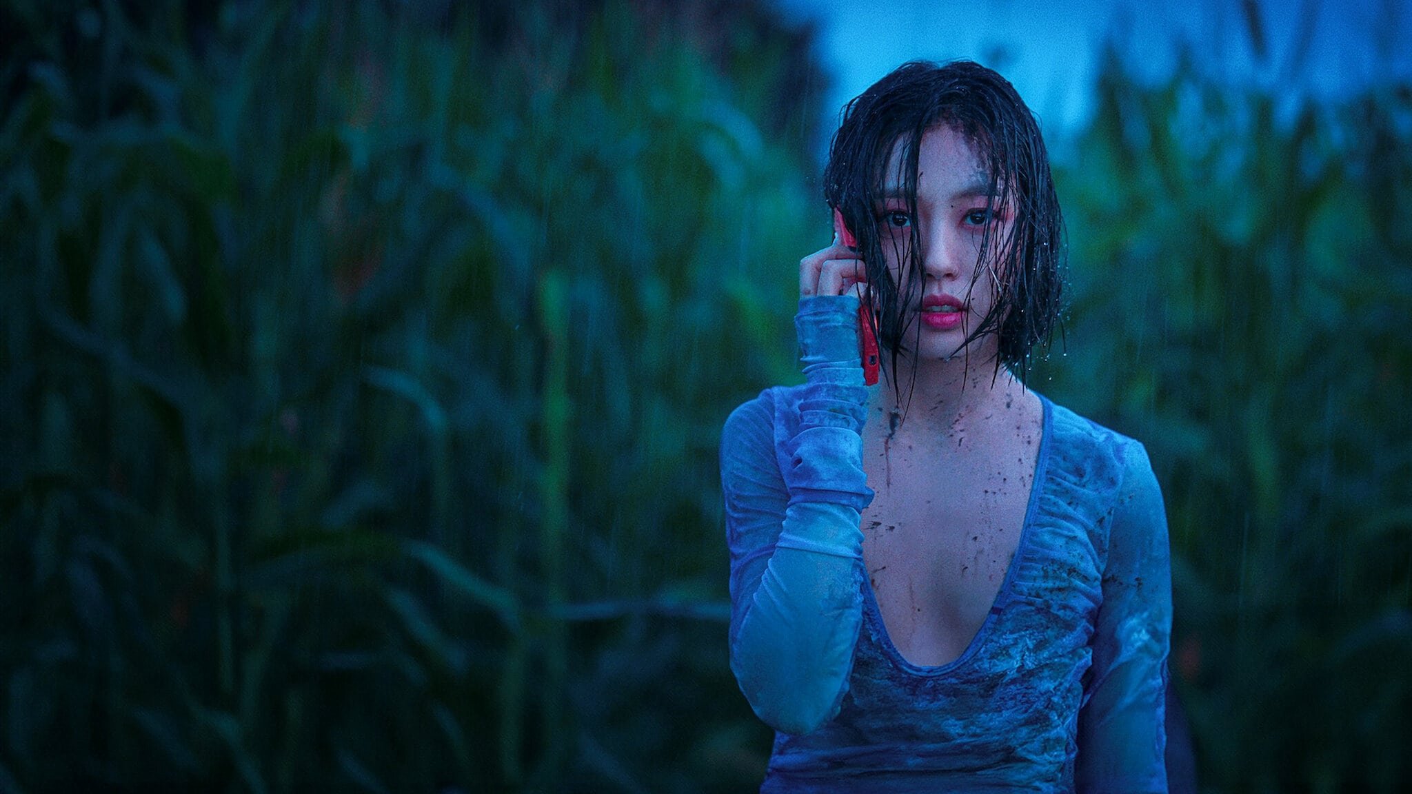 Rừng Không Tiếng Rừng Không Tiếng