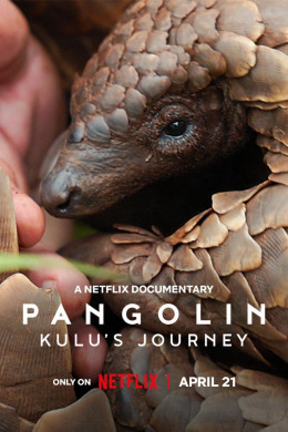 Pangolin: Kulu's Journey 2025