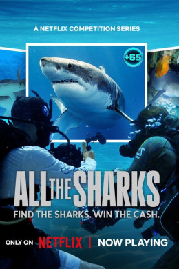 All the Sharks 2025