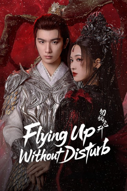 Flying Up Without Disturb 2025