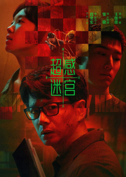 Sense Labyrinth 2025