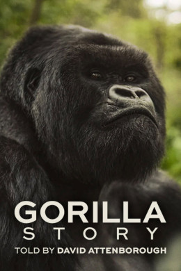 Hành Trình Của Khỉ Đột – Qua Giọng Kể David Attenborough